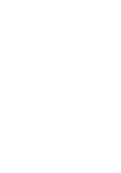 Active Ants